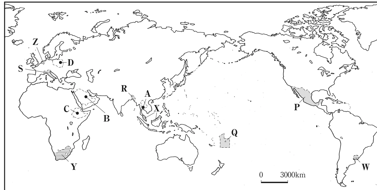 世界の略地図。首都A〜D、国P〜S（色つき）、国W〜Zが示されている