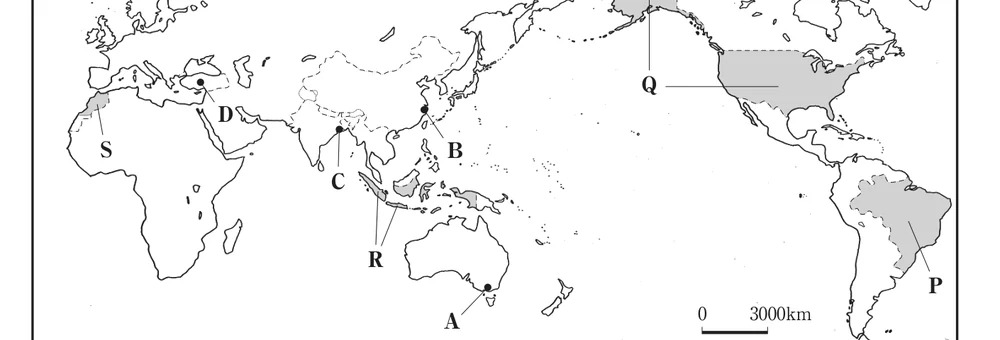 世界の略地図。都市A〜Dと、色をつけた国P〜Sの位置が示されている